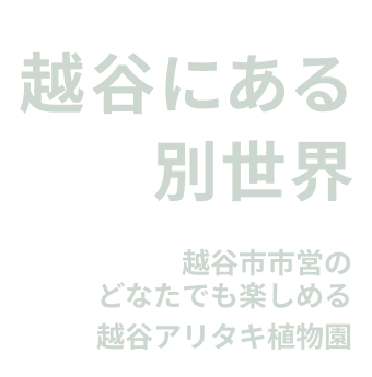 越谷にある別世界、越谷市営のどなたでも楽しめる越谷アリタキ植物園
